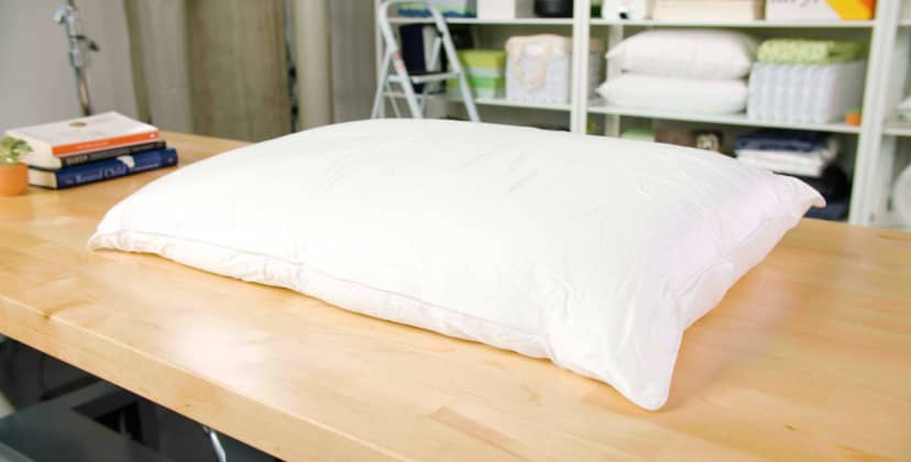 Best Pillows of 2024 - Best Luxury - Cozy Earth Silk Pillow