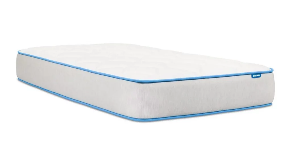 Bear Cub Mattress Review – Test Lab Ratings Product image of the Bear Cub mattress