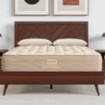 Best Organic Mattress of 2024 - Best Mattress for Spinal Alignment - Bear Natural