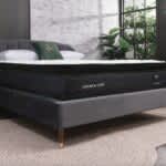 The Best Mattress in Canada - Best for Spinal Alignment - Logan & Cove Frontier Hybrid