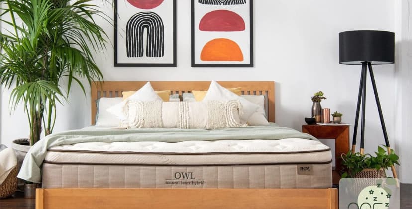 Best Mattress for Acid Reflux - Best Pressure Relief - Nest Bedding Owl