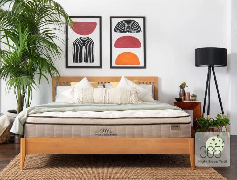Best Mattress for Acid Reflux - Best Pressure Relief - Nest Bedding Owl