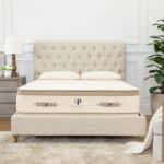 Best Latex Mattresses of 2024 - Most Comfortable Mattress - PlushBeds Botanical Bliss