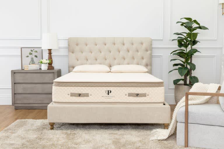 Best Organic Mattress of 2024 - Most Comfortable - PlushBeds Botanical Bliss
