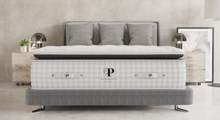 Best Organic Mattress of 2024 - Best Luxury - PlushBeds Signature Bliss