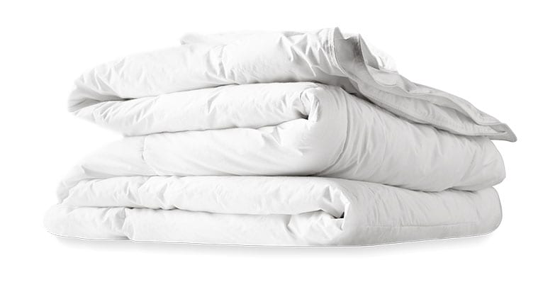 Purple Duvet Review Purple-Duvet