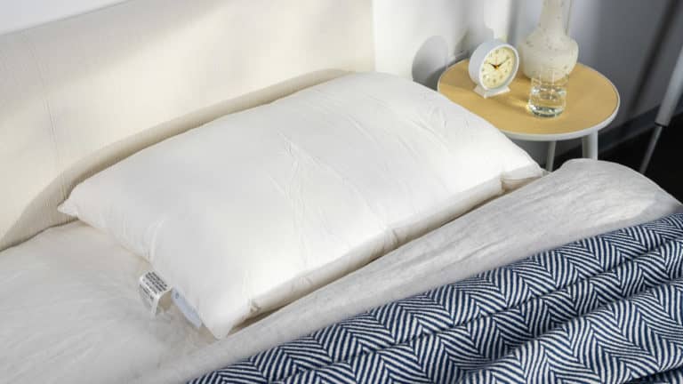 Best Pillows of 2024 - Best Luxury - Cozy Earth Silk Pillow