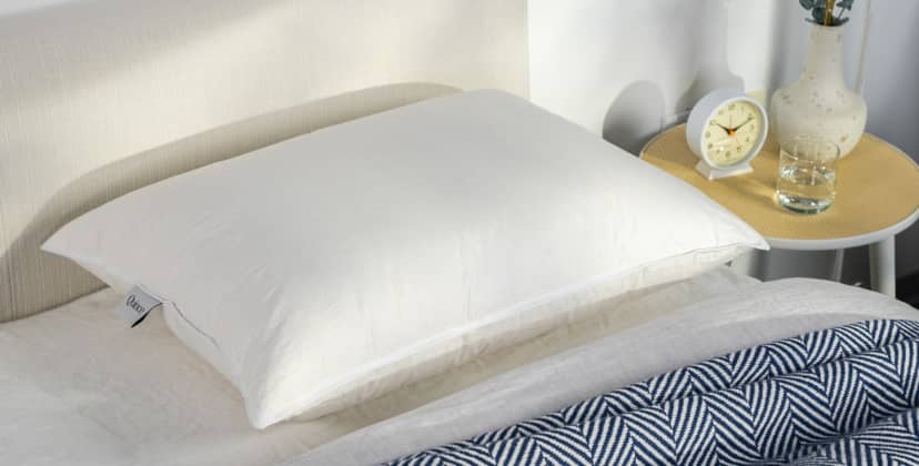 Best Pillows of 2024 - Best Goose Down - Quince Luxe Goose Down Pillow