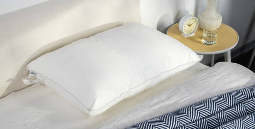 Best Pillows of 2024 - Best for Neck Pain - Sweet Zzz Plant-Based Pillow