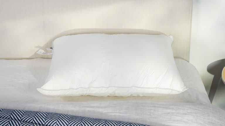 Best Pillows of 2024 - Best for Neck Pain - Sweet Zzz Plant-Based Pillow