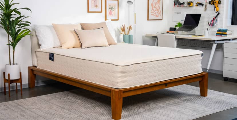 Best Organic Mattress of 2024 - Best Mattress for Back Pain - WinkBeds EcoCloud