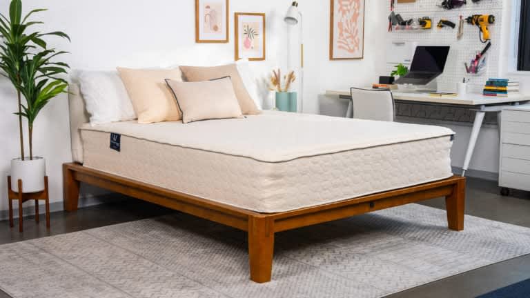 Best Organic Mattress of 2024 - Best for Back Pain - WinkBeds EcoCloud